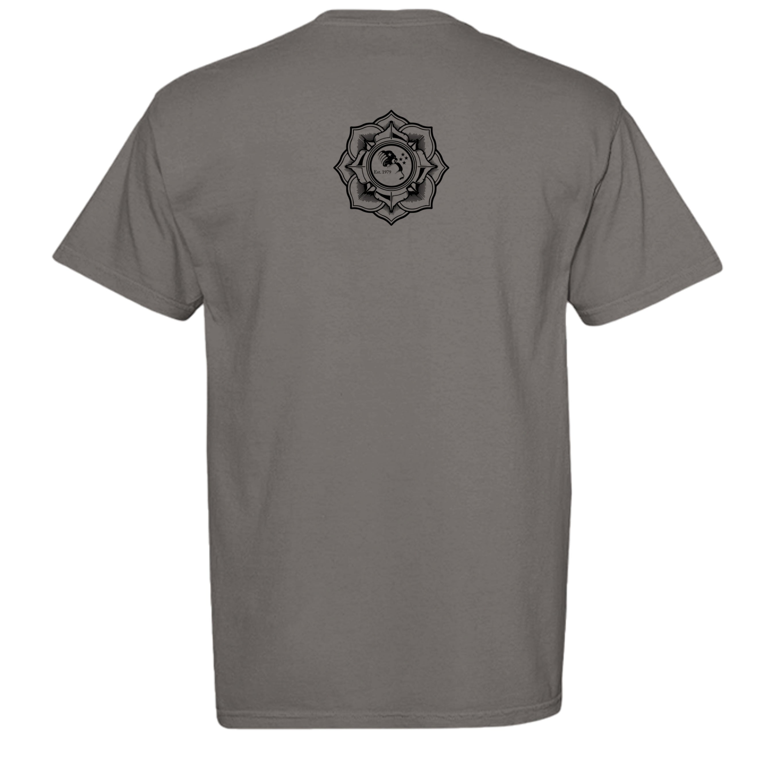 GREY - C1717 - BACK