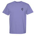 VIOLET - C1717 - FRONT