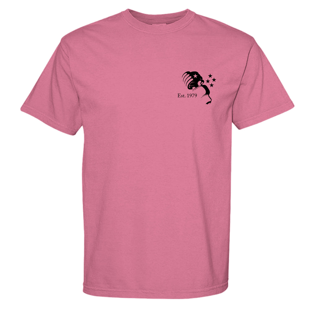 CRUNCHBERRY - C1717 - FRONT