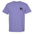 VIOLET - C1717 - FRONT